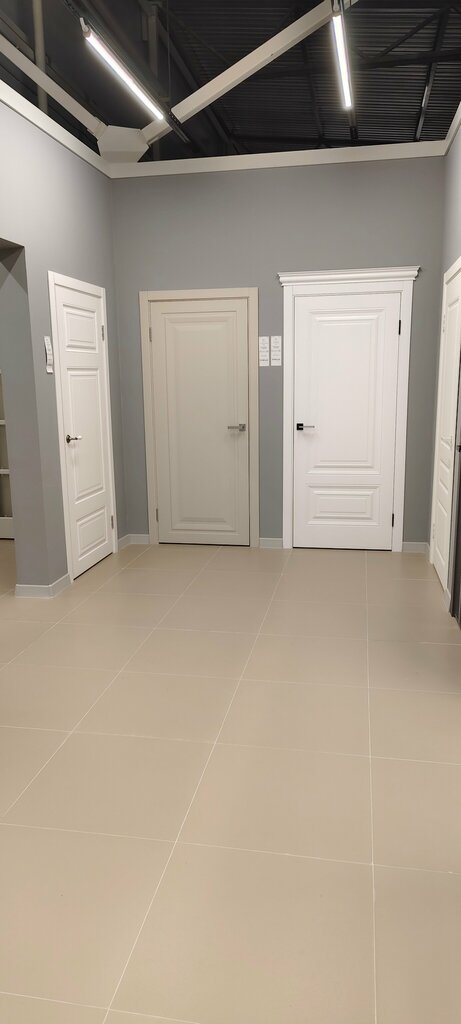 Doors Quest/doors, Tula Oblast, photo