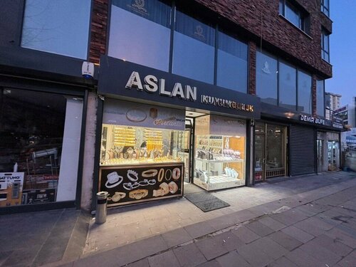 Aslan Kuyumculuk Fotoğraf 2