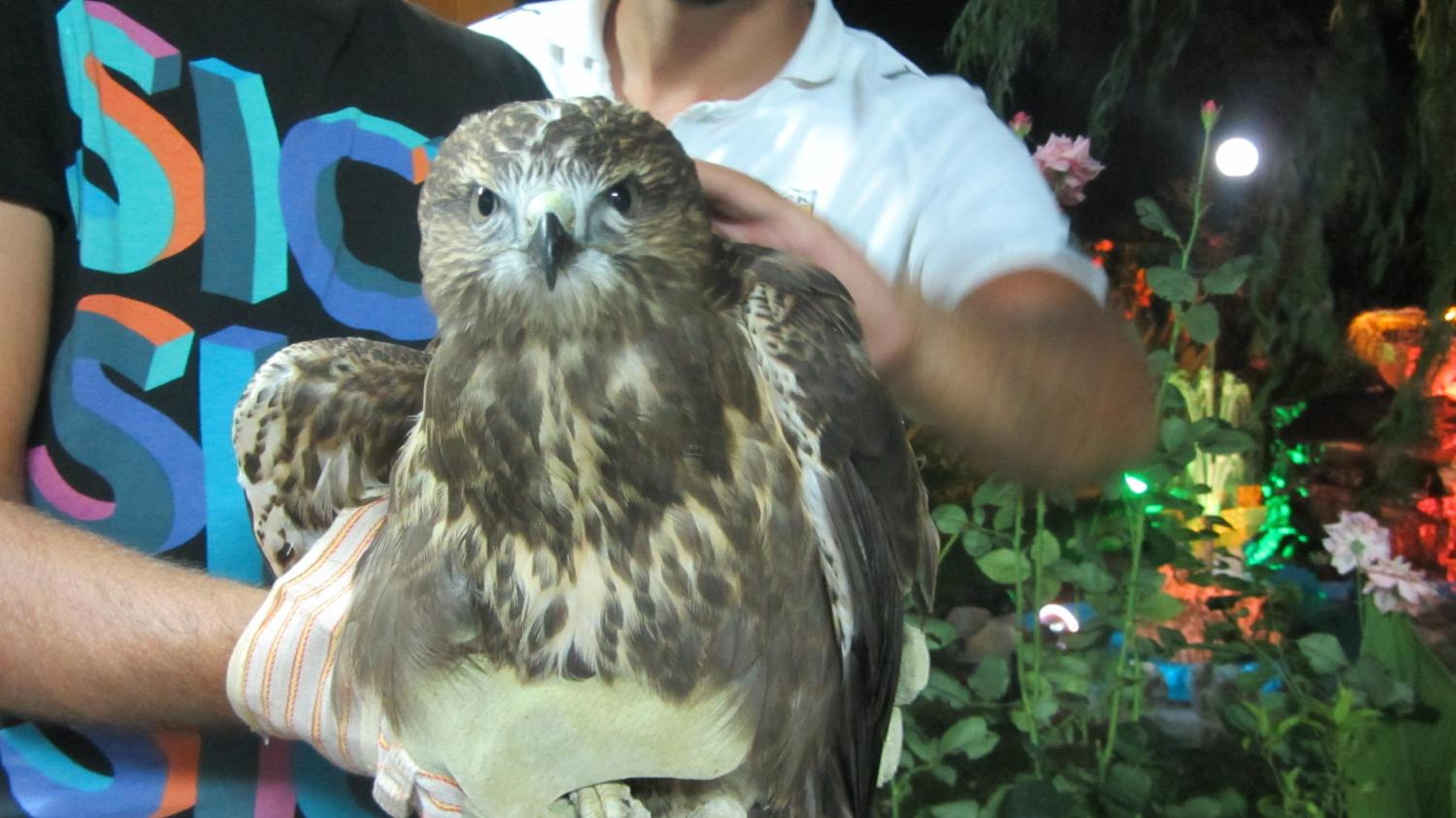 Фото Shine Studios