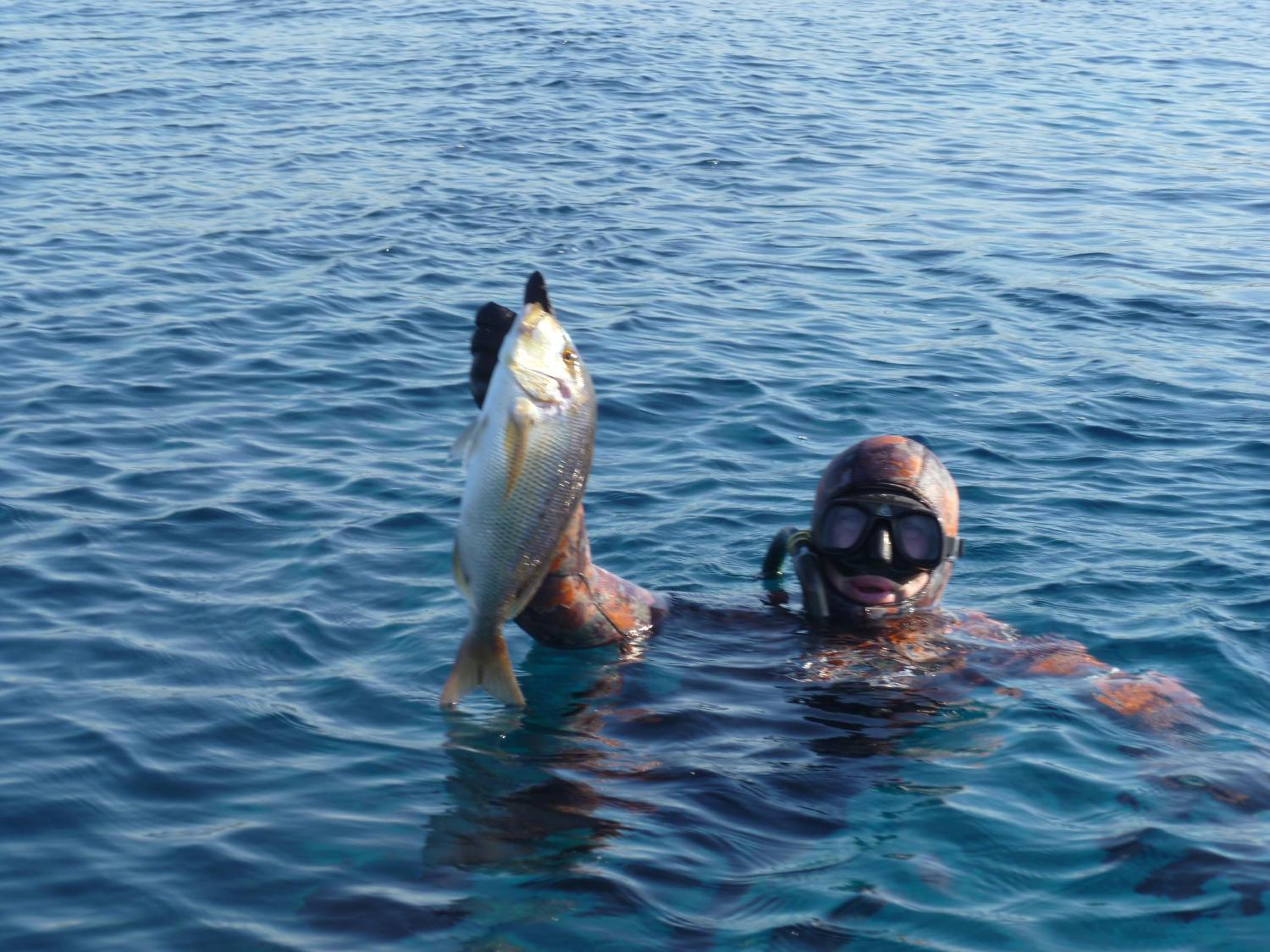 Фото Paraschos Studios