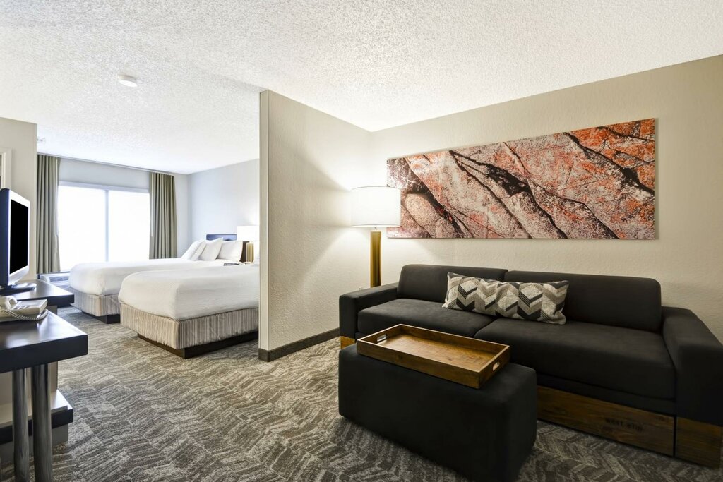 Hotel SpringHill Suites by Marriott San Antonio Medical Center/NW, San Antonio, photo
