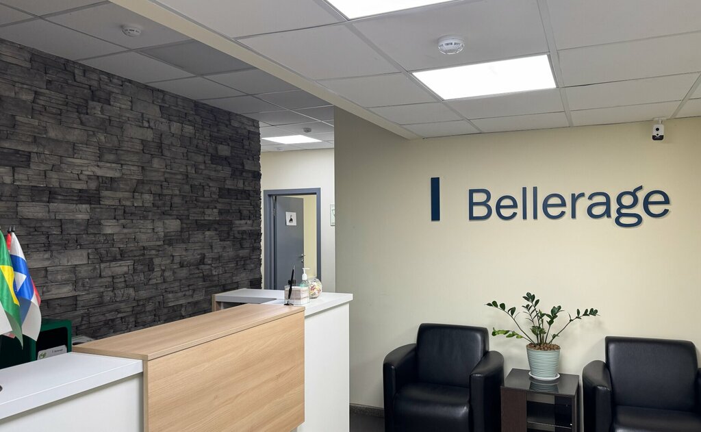 IT company Bellerage IT, Moscow, photo