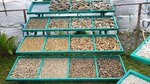 Galka-Optom (khutor Leninavan, ulitsa Lenina, 2И), sale of stones, fossils and minerals