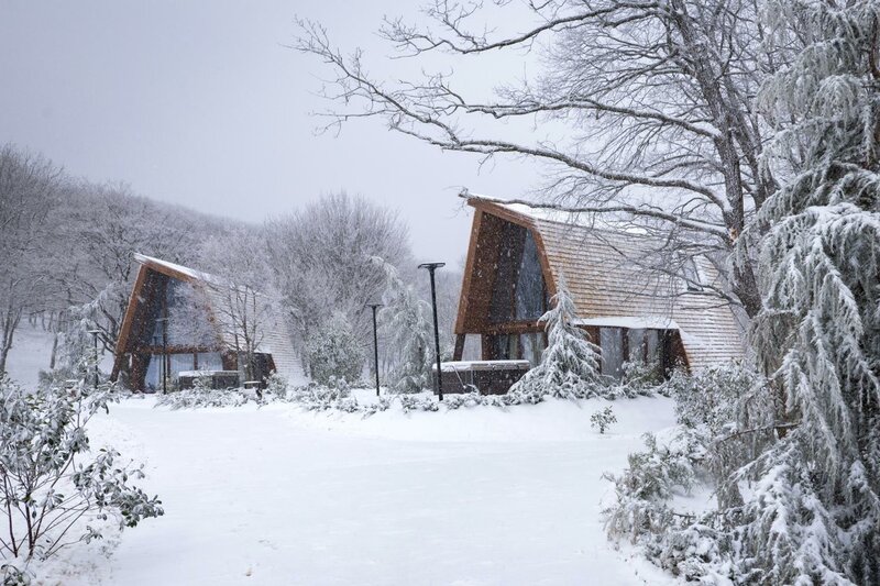 Гостиница Bioli Wellness Resort в Тбилиси