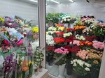 Аромат (derevnya Kondratovo, Kamskaya ulitsa, 1Б), flower shop