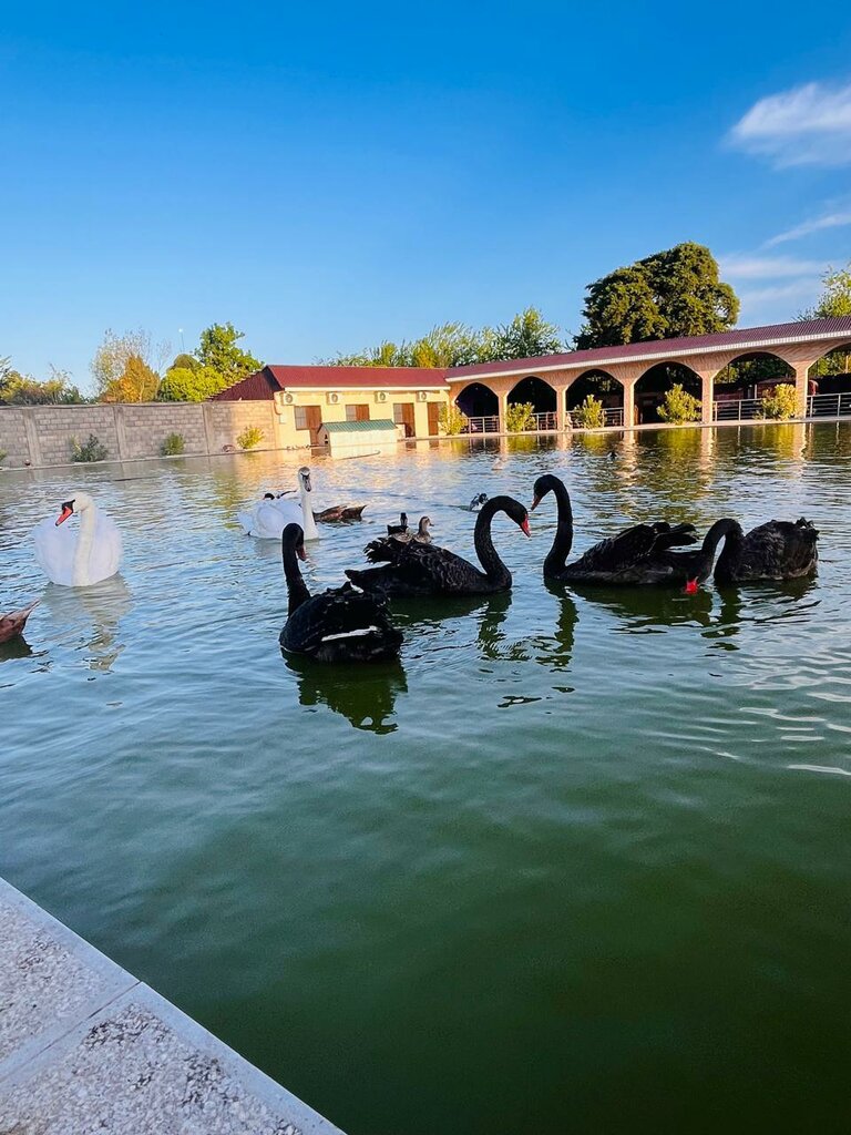 Zoo Мини зоопарк, Gagra District, photo