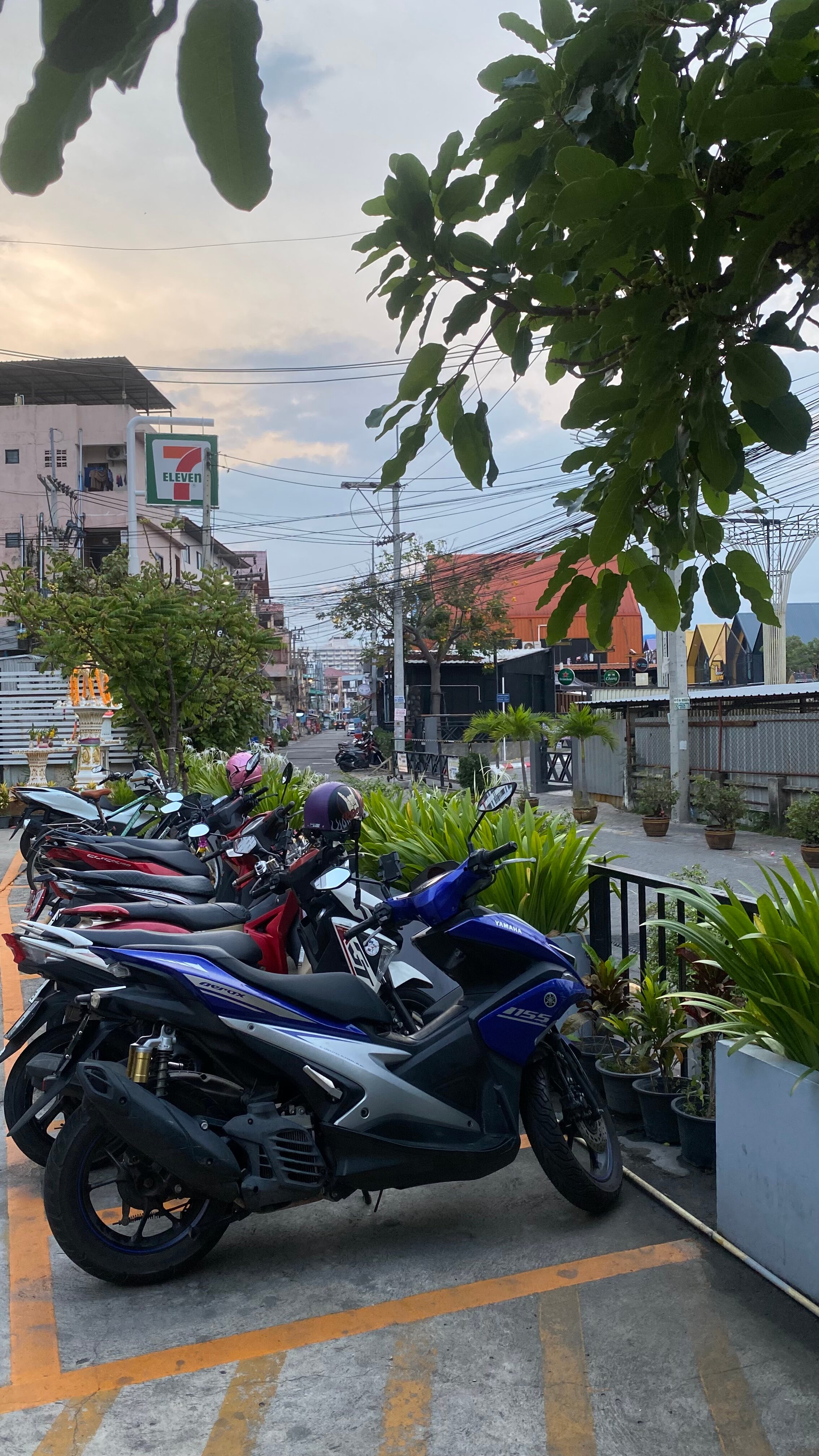 Фото P Plus Hotel