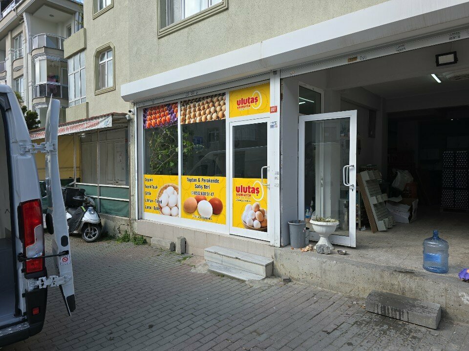 Food manufacturers Ulutas Egg, Istanbul, photo