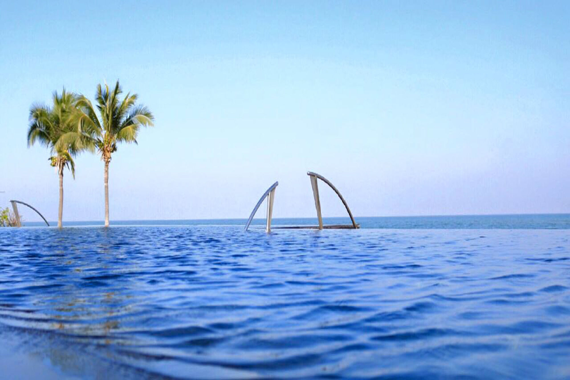 Фото 50624295898