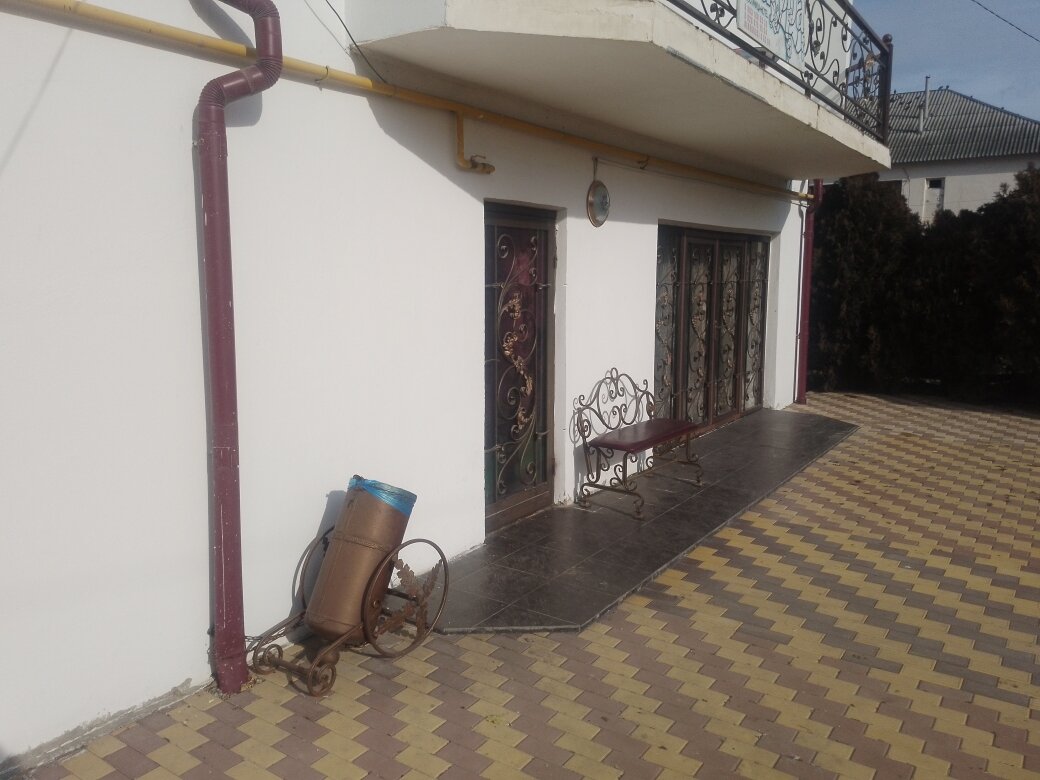 Фото Сакура