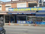 Gulercan Fish (Istanbul, Pendik, Yeni Mithatpasa Avenue, 44), pescados y mariscos
