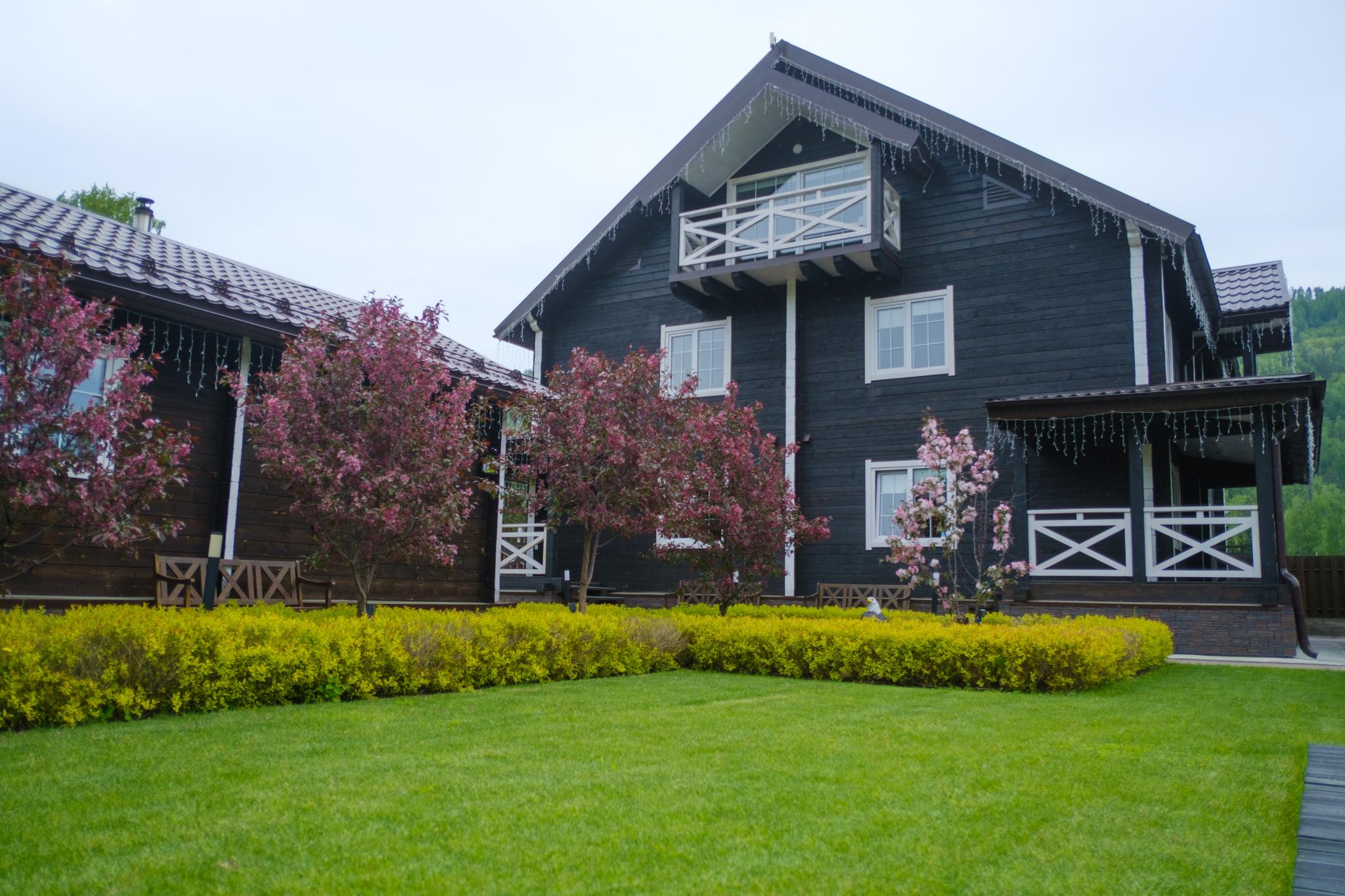 Фото Апарт комплекс Алтай