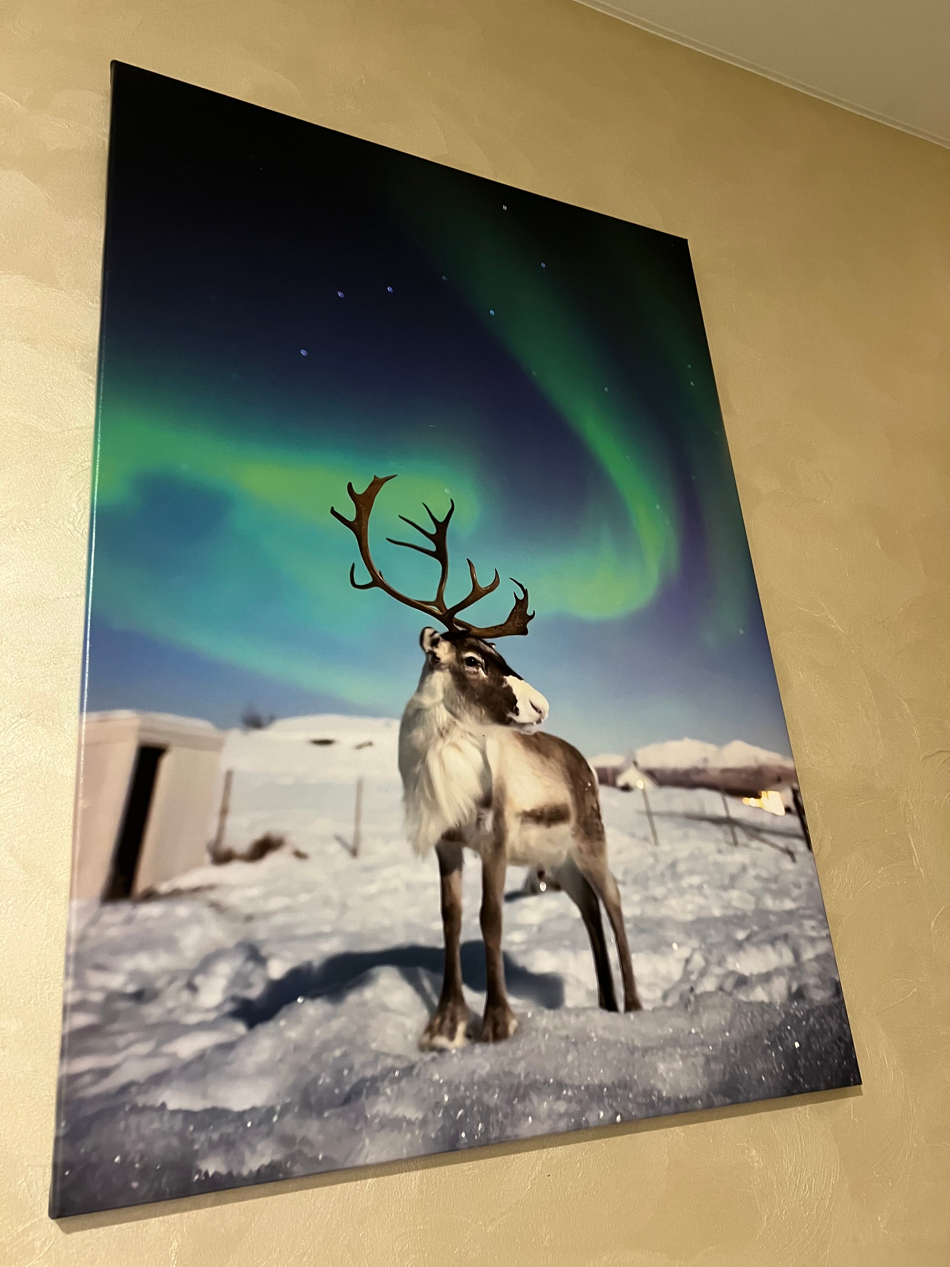 Фото Ягельный