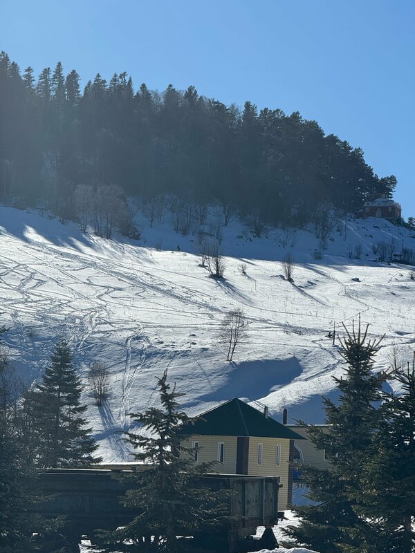 Анна Тюленева