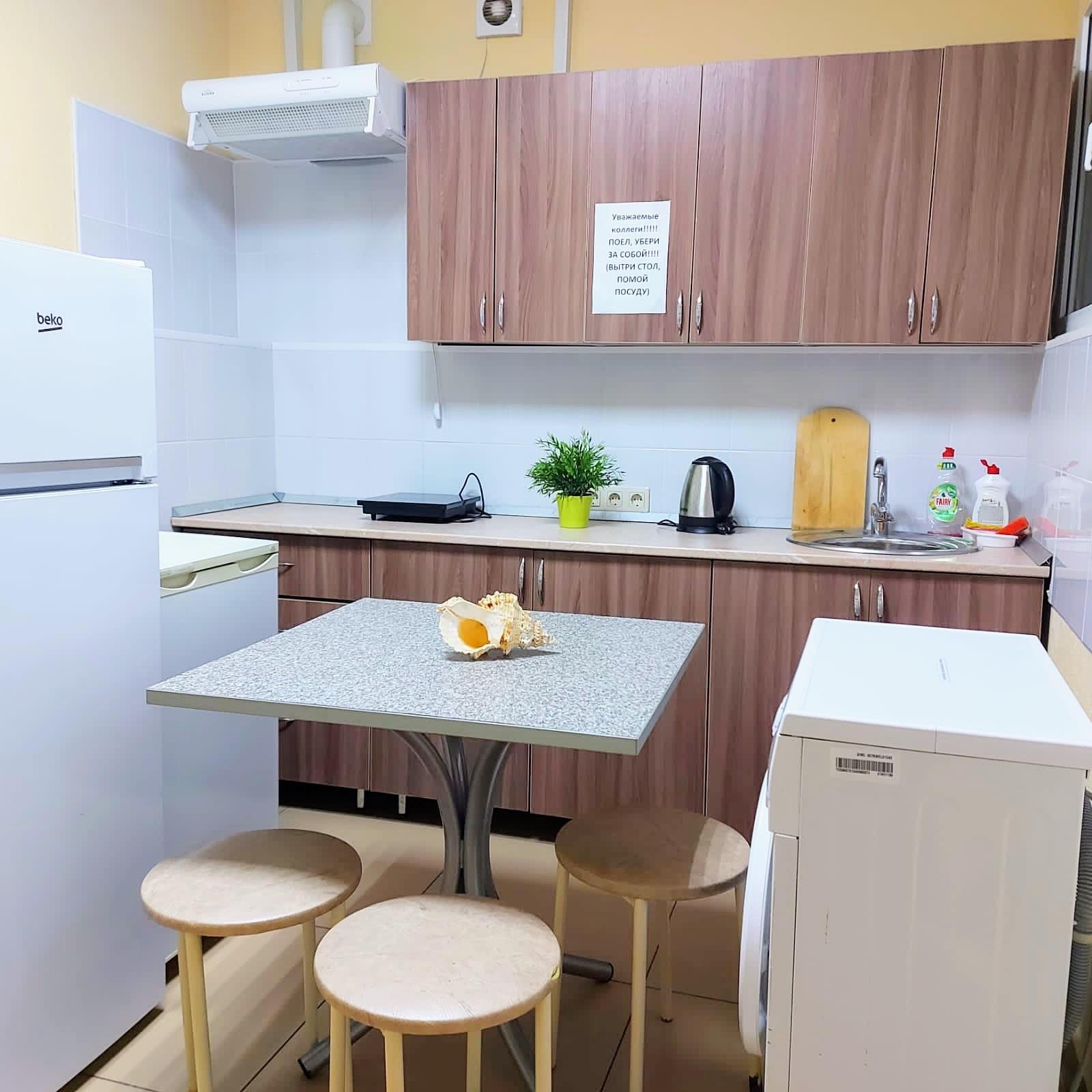 Фото Ракушка