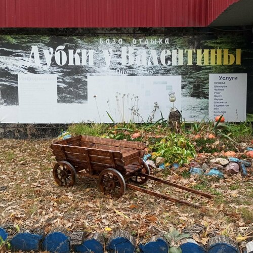 Дубки у Валентины  фото 6