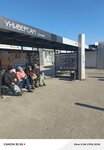 Универсам (Primorye Territory, Dalnegorsk, prospekt 50 let Oktyabrya), public transport stop