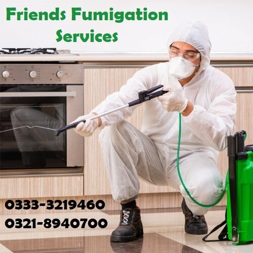 Disinfection, disinsection, deratization Friends Fumigation Services, Karachi, photo