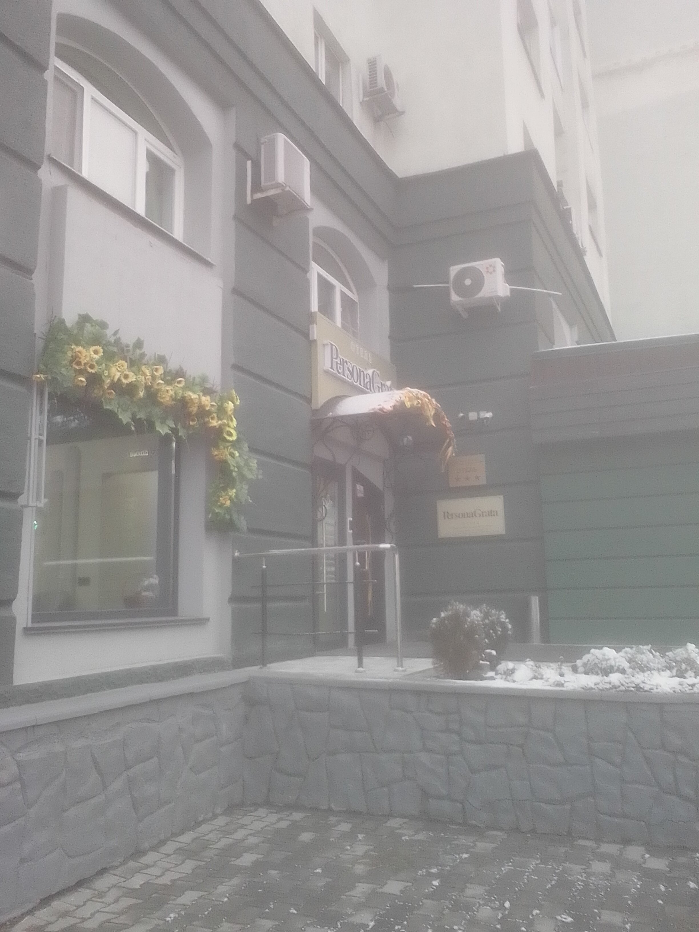 Фото Персона Грата