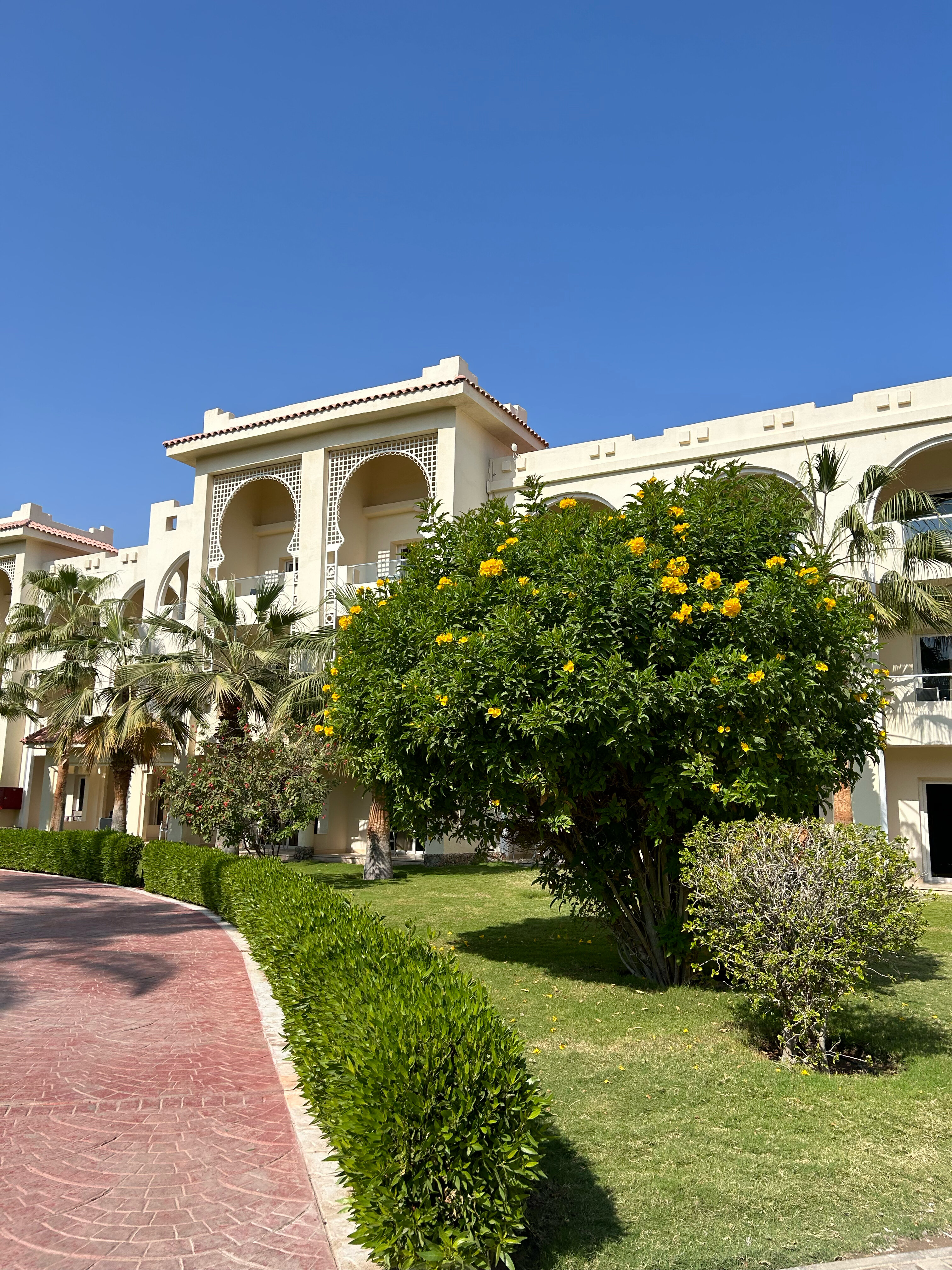 Фото Serenity Alma Heights