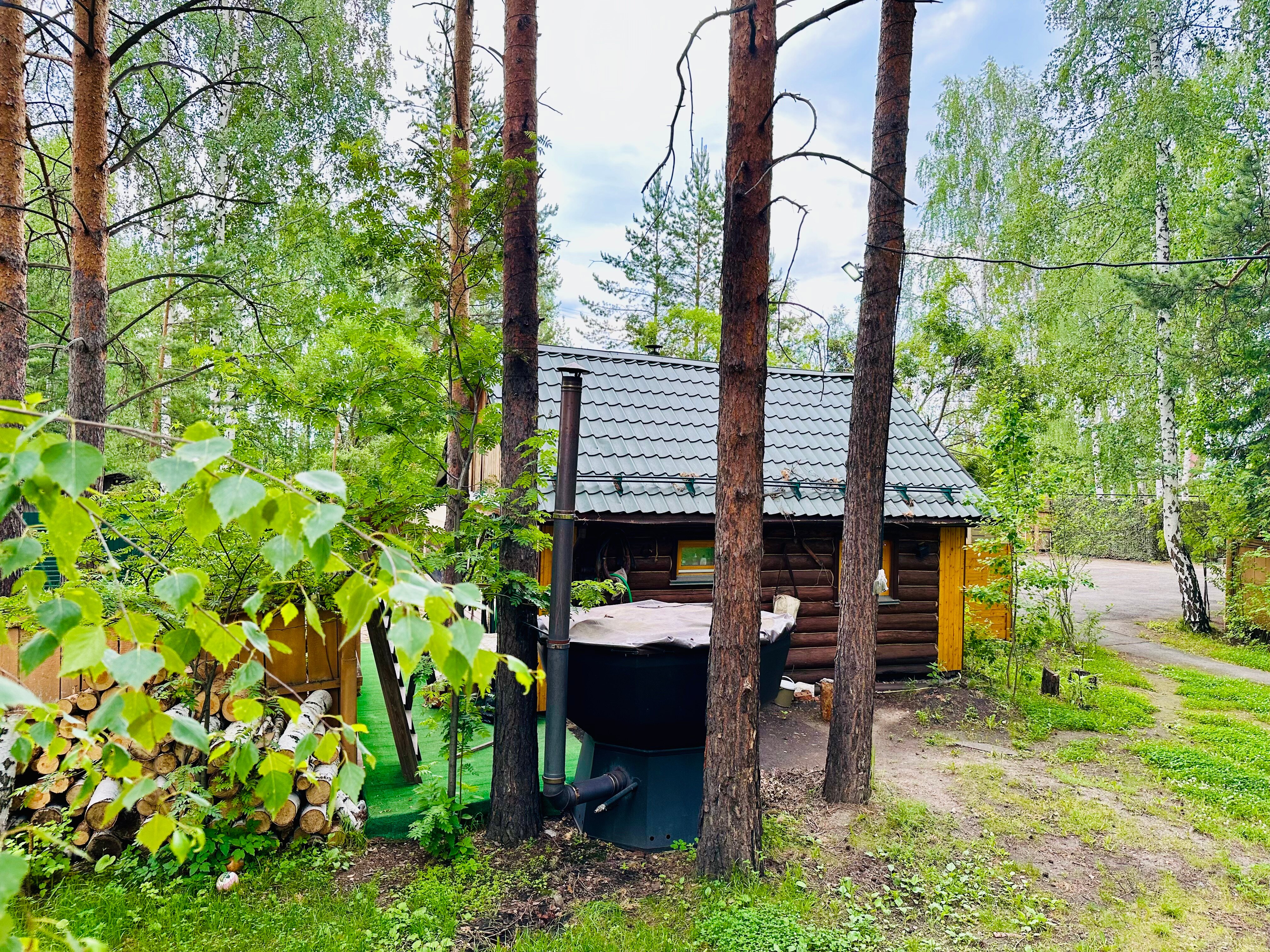 Фото Сосны-Лес