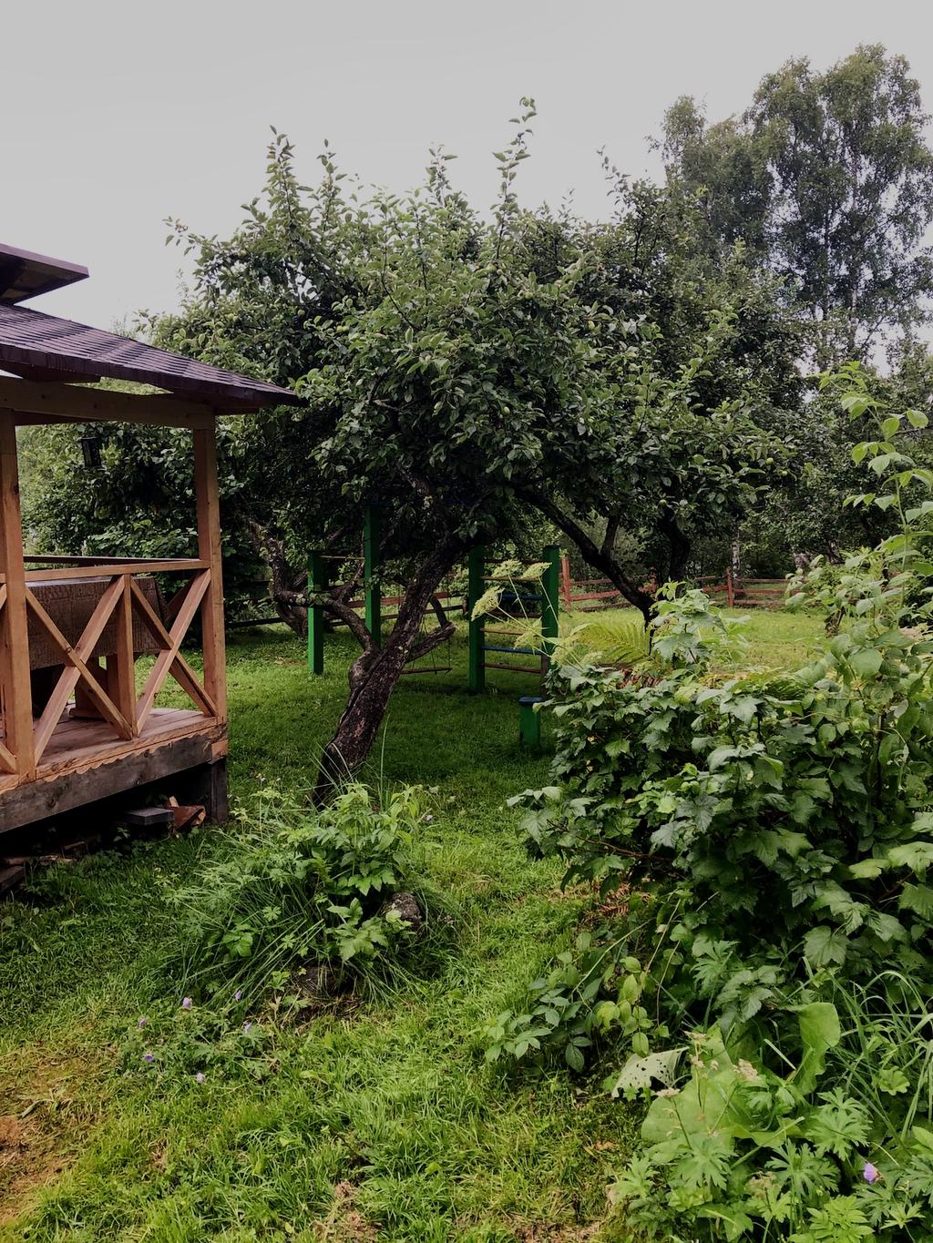 Фото Легенды Алтая