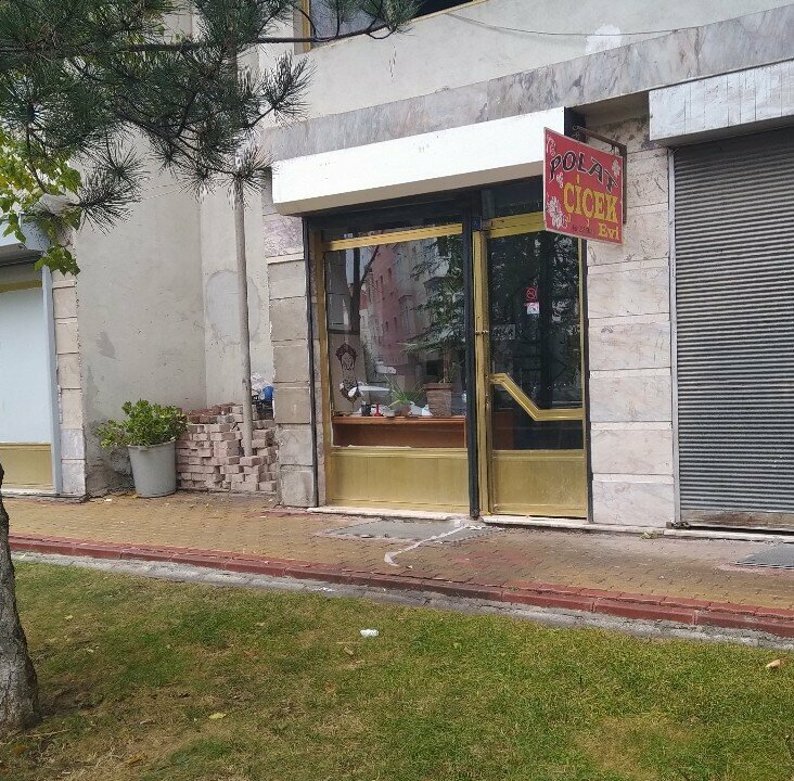 Flowers and bouquets delivery Polat Flower House, Konya, photo