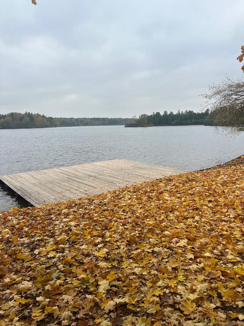 Фото Берега