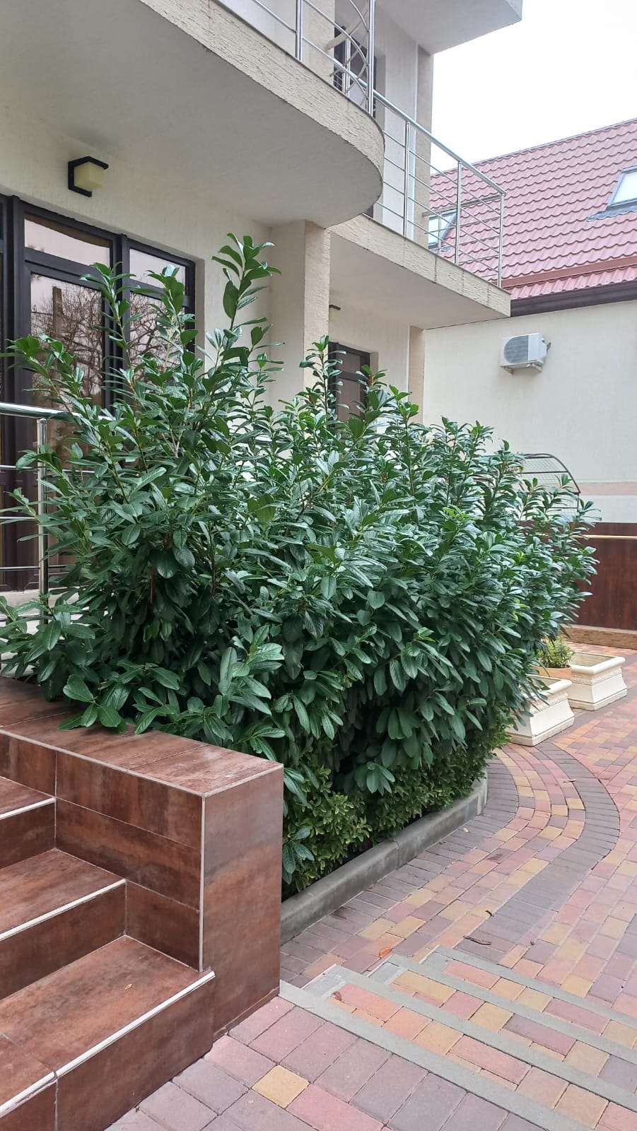 Фото Анжелика