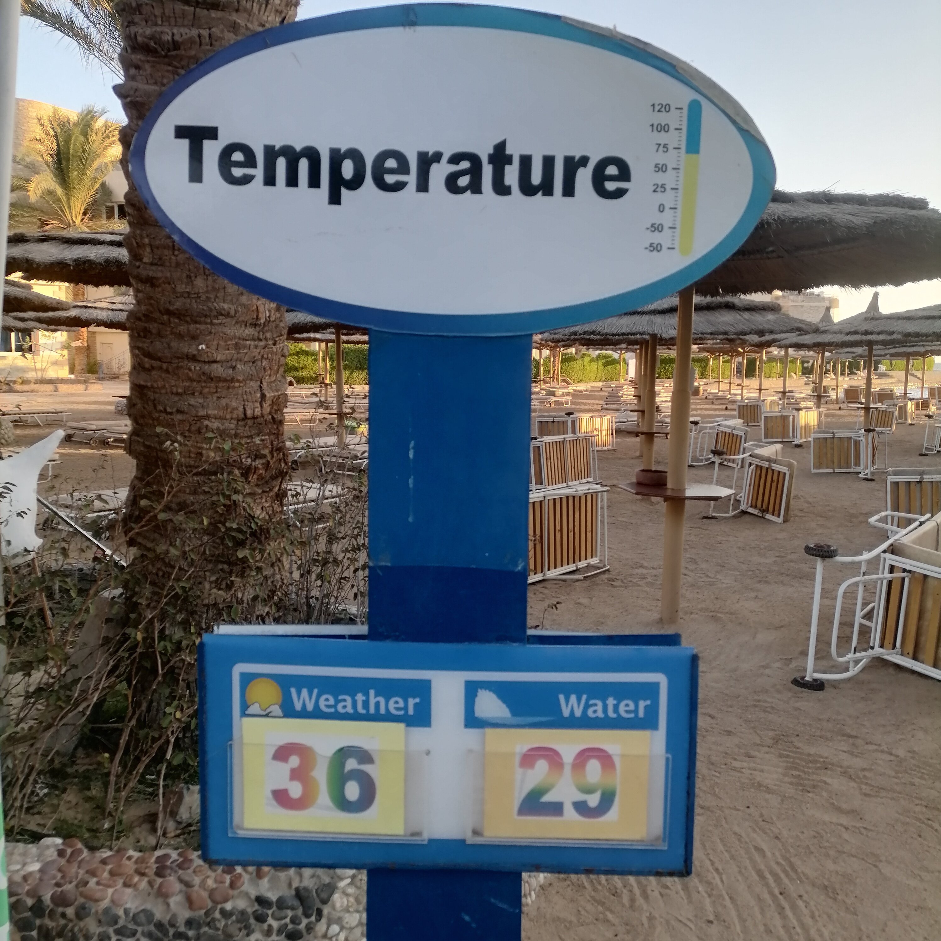 Фото Seagull Beach Resort