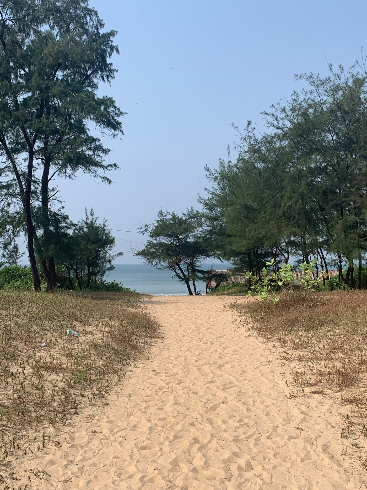 Фото Alagoa Resort