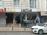 Cactus Clothing (İstanbul, Esenyurt, Hacı Bayram Veli Cad., 84D), tienda de ropa