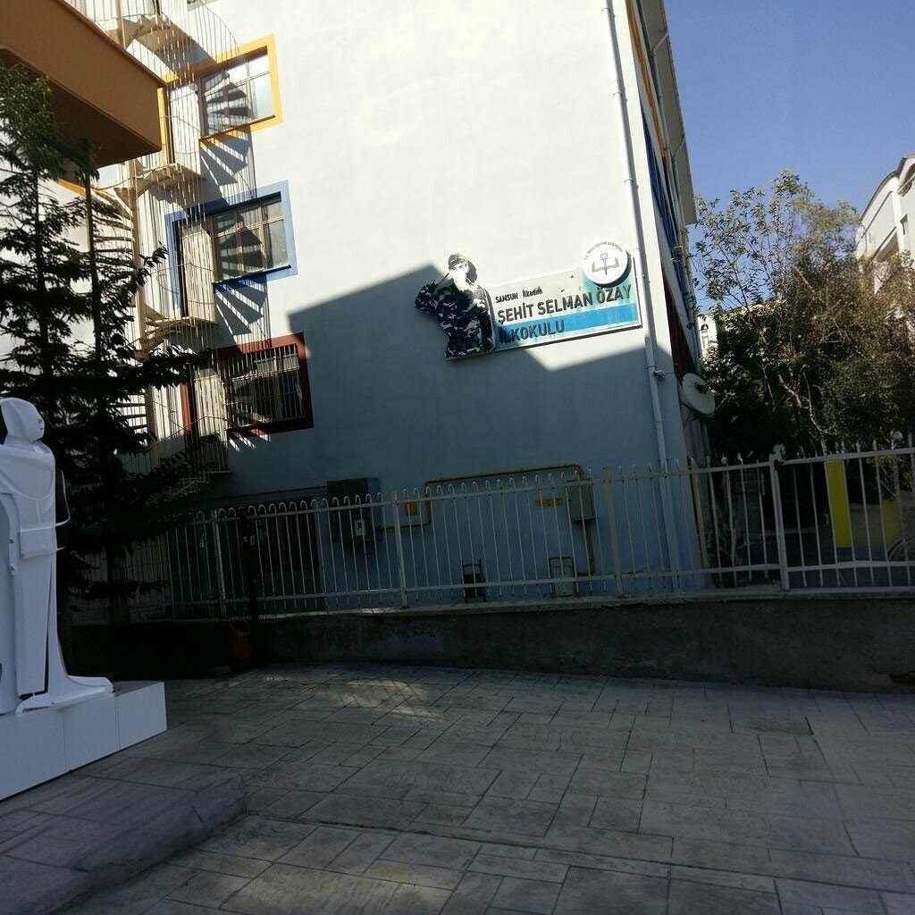 Primary school Sehit Selman Ozay Primary School, Samsun, photo