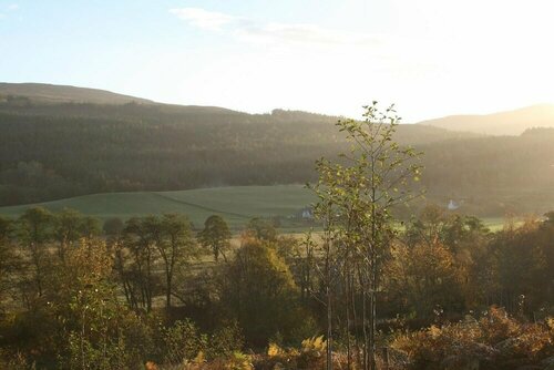 Гостиница BCC Lochness Cottages в Области Хайленд