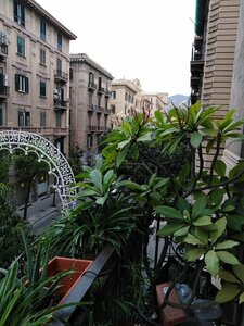 Гостиница Medusa B&b