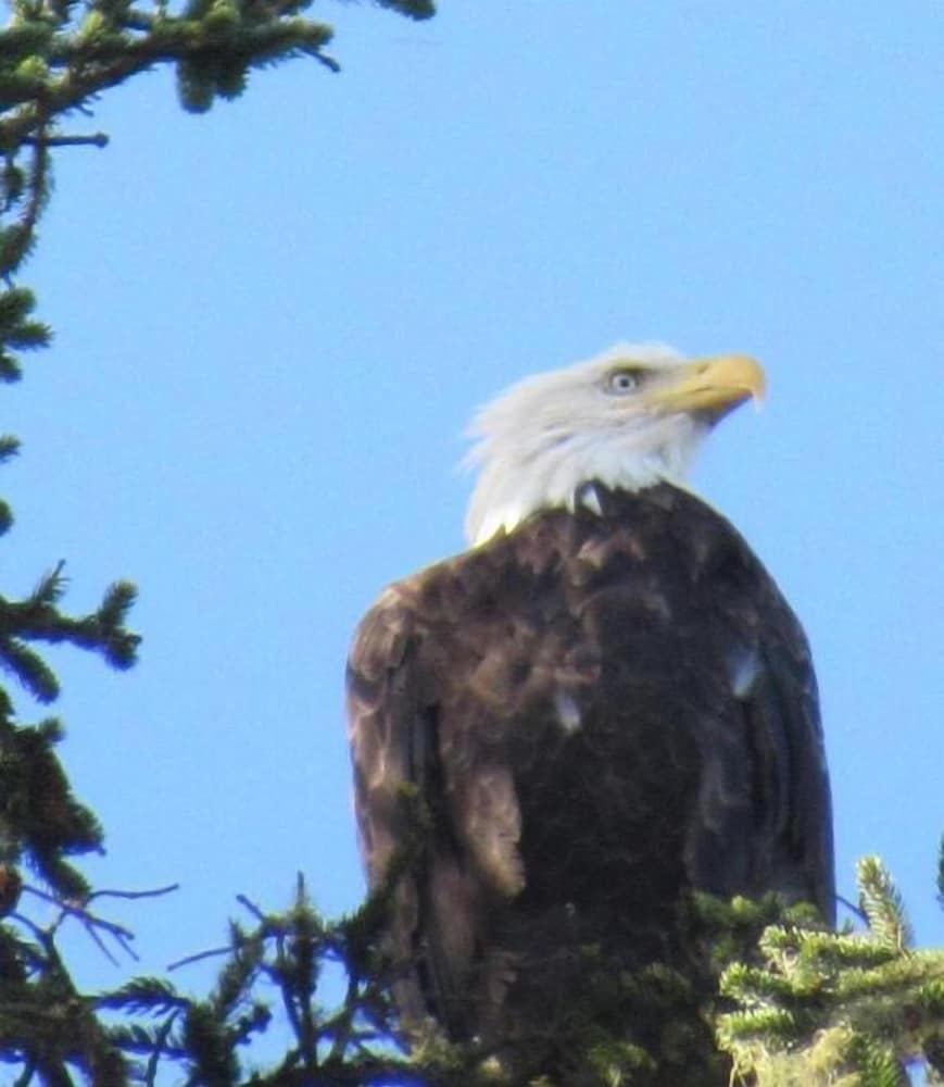 Фото The Waldport Inn