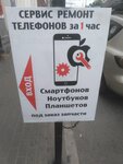 Phone Repair Service in 1 Hour (Moskovskaya Street, 43/13), phone repair