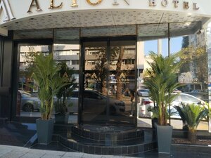 Гостиница Alion Hotel