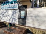 Veterinary clinic Zoovita (Batumskoye Highway, 20/2) ، عيادة بيطرية