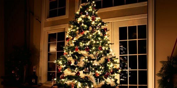 Goods for holiday Starfish Ornament House, Manisa, photo