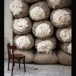 Hisarli Dokuma (Denizli, Merkezefendi, Yenişehir Mah., 49. Sok., 2) ، مشاريع صناعية