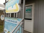 Профи (posyolok Bolshoye Isakovo, Gazetnaya ulitsa, 3Б), driving school