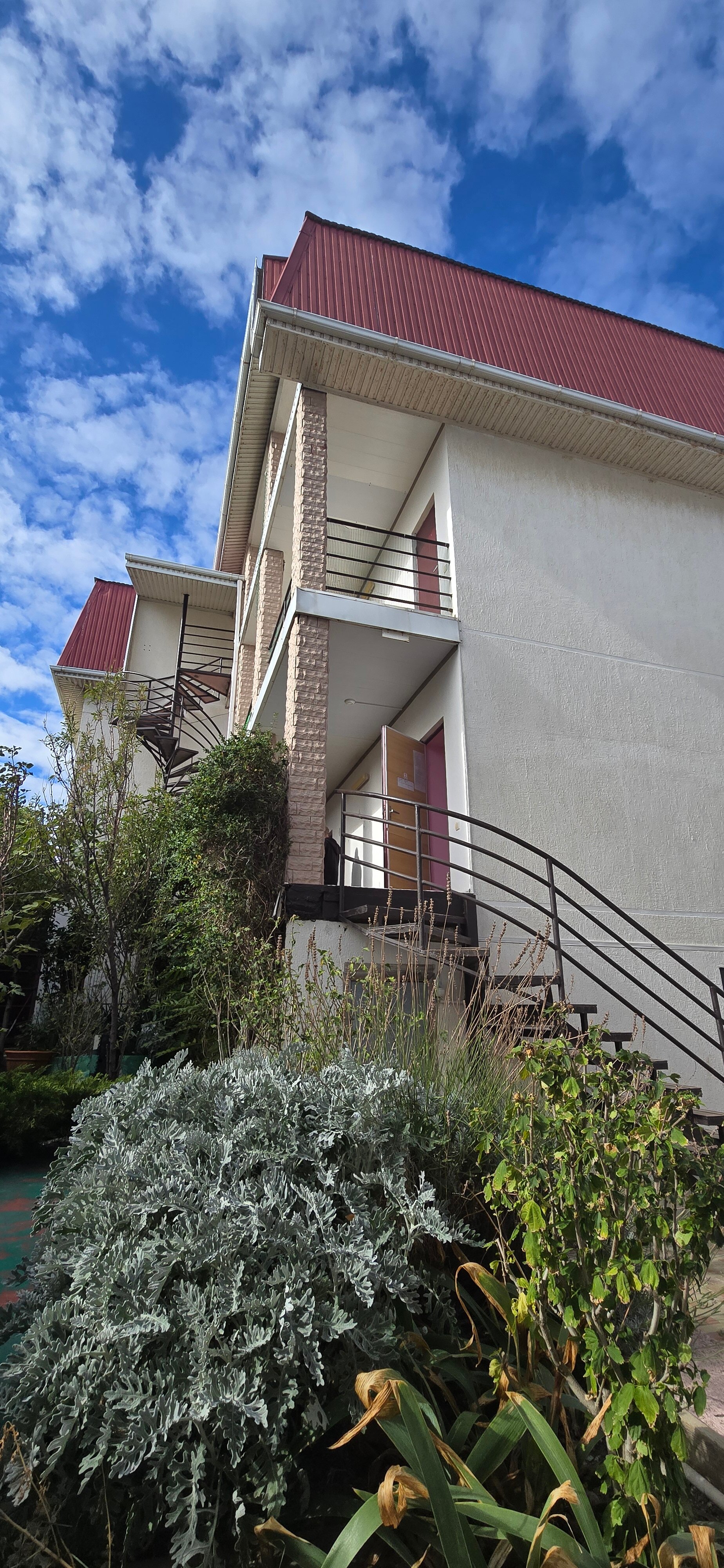 Фото Яблоко