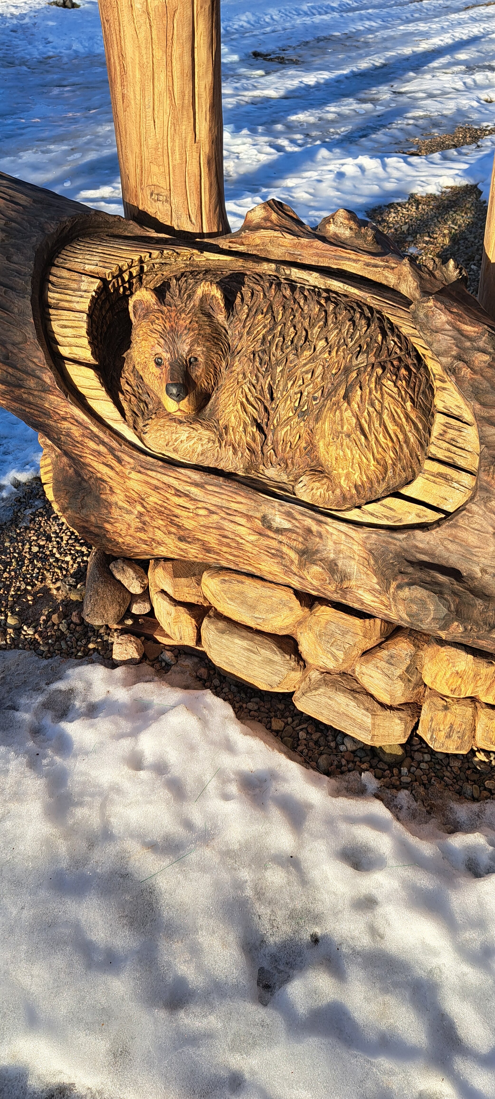 Фото Мишка на прудах