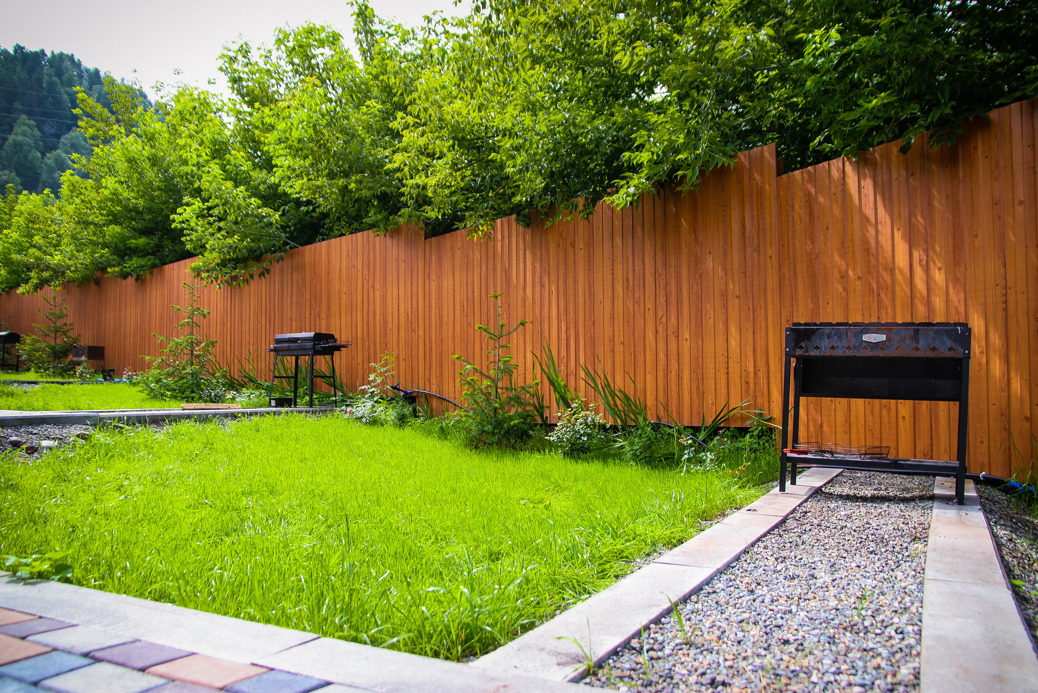 Фото Элемент Алтая