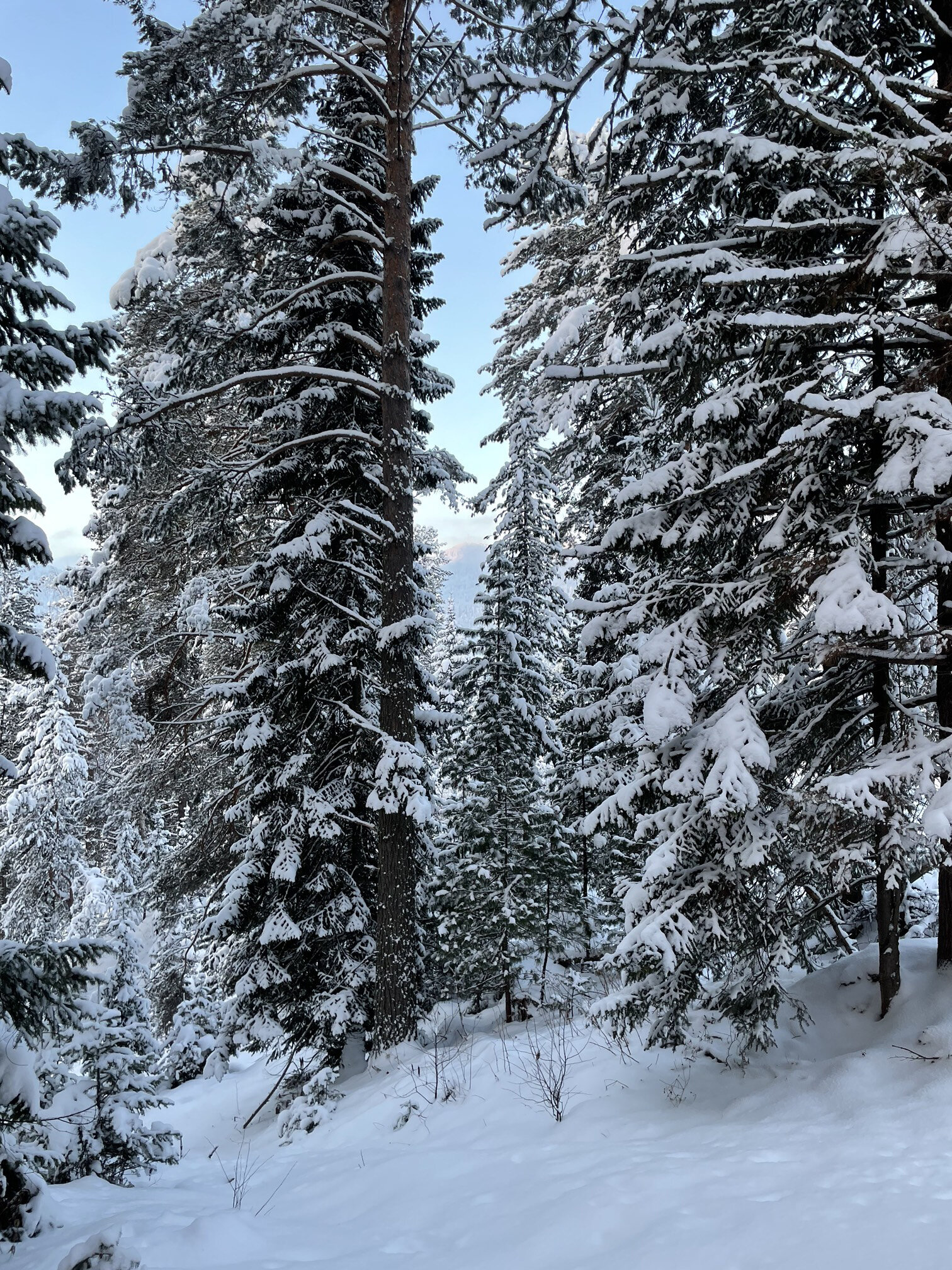 Фото Серебряный источник