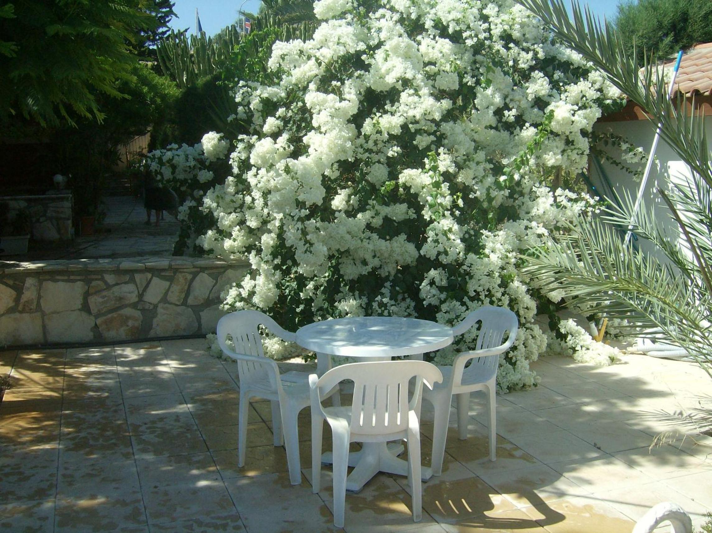 Фото Rantzo Holiday Apartments