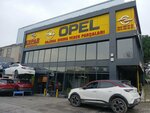 Erpar Automotive - Opel Car Spare Parts (Istanbul, Basaksehir, Ikitelli OSB Neighborhood, Ataturk Auto Industrial Site Street, 11), tienda de repuestos y artículos para automóviles