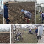 Namangan Branch of National Electric Networks of Uzbekistan (Namangan, Gulshan mahalla fuqarolar yigʻini, Ququmboy Avenue, 6), mantenimiento de redes eléctricas