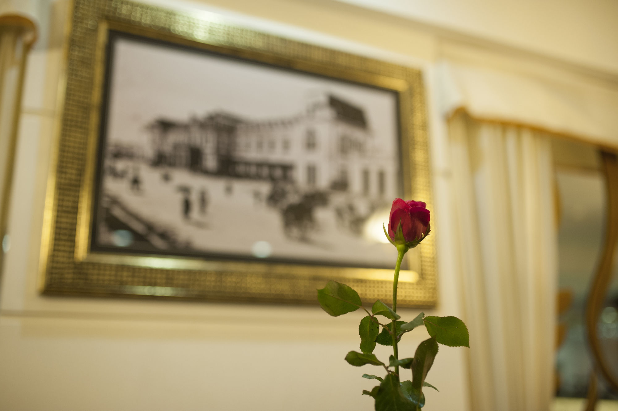 Фото Minerva Premium Hotel